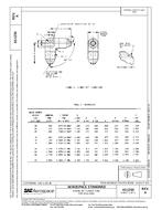 SAE AS1250A